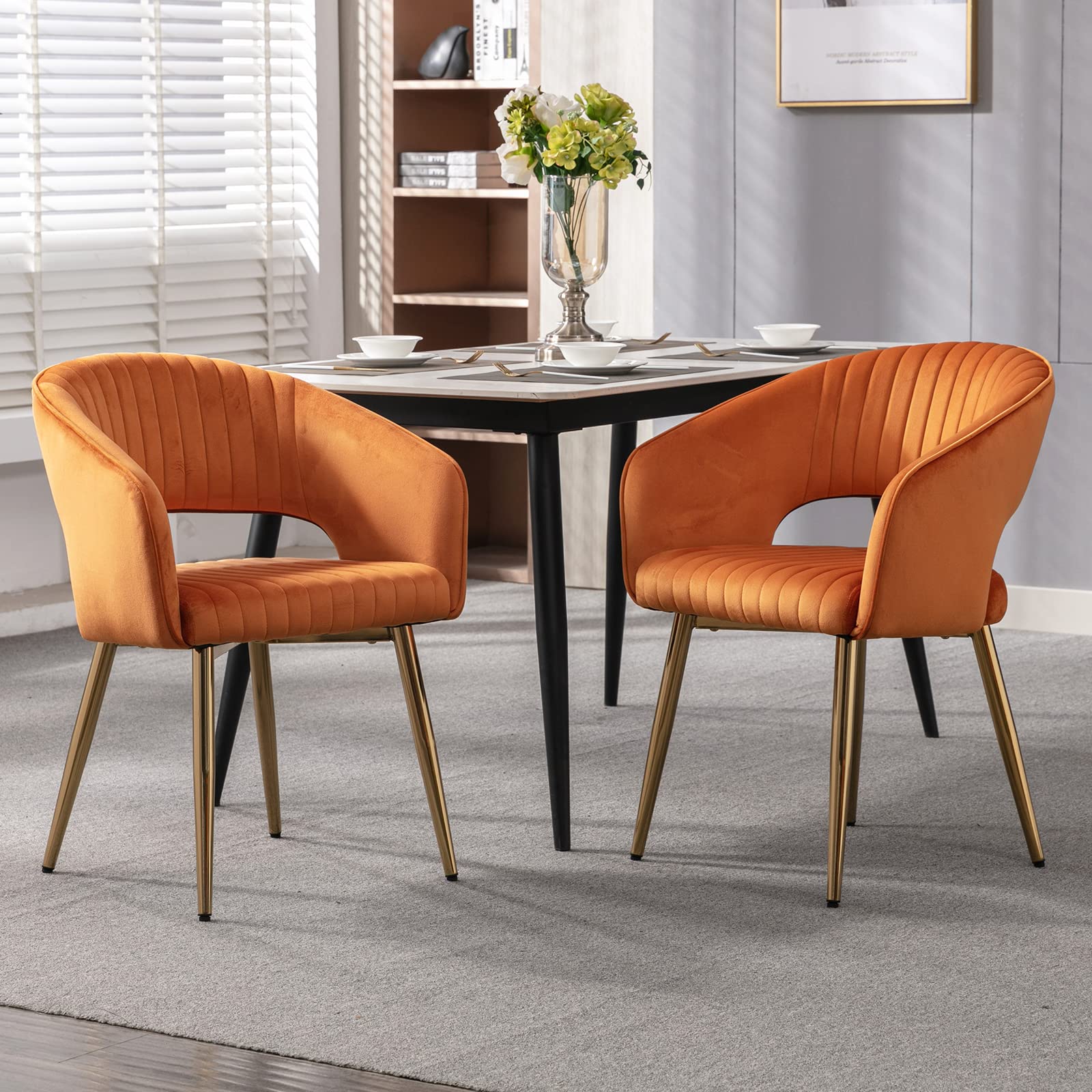 Modern Dining Chairs Set of 2 - 3059DC - Image 30