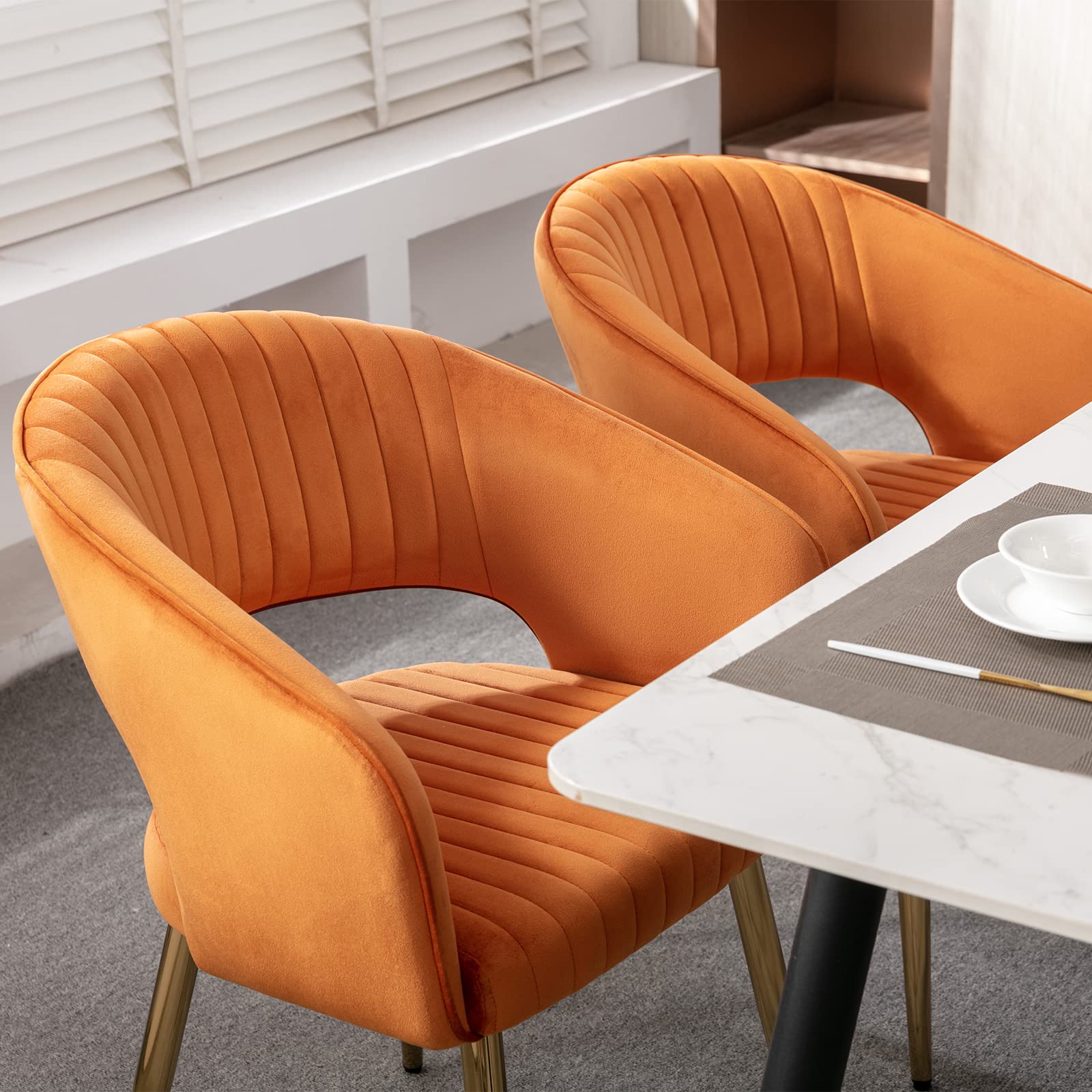 Modern Dining Chairs Set of 2 - 3059DC - Image 33