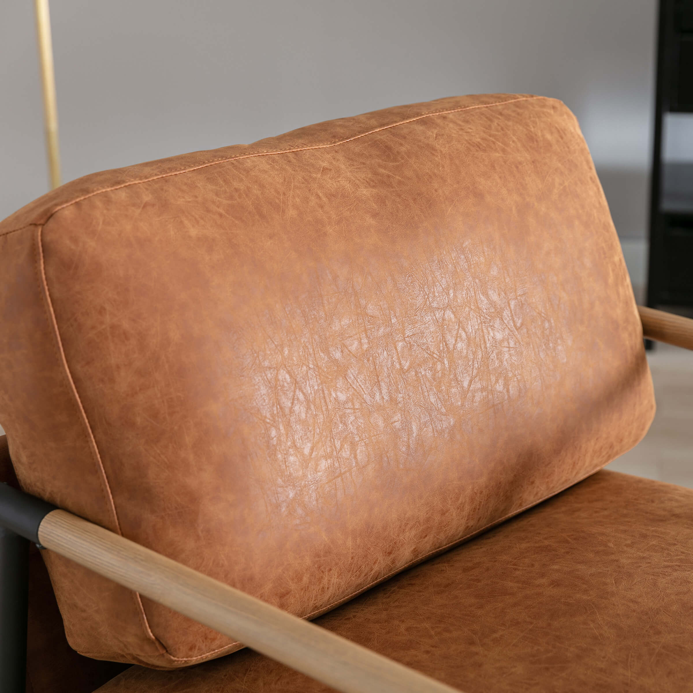Lounge Accent Chair 1 PCS - 19005AC - Image 33