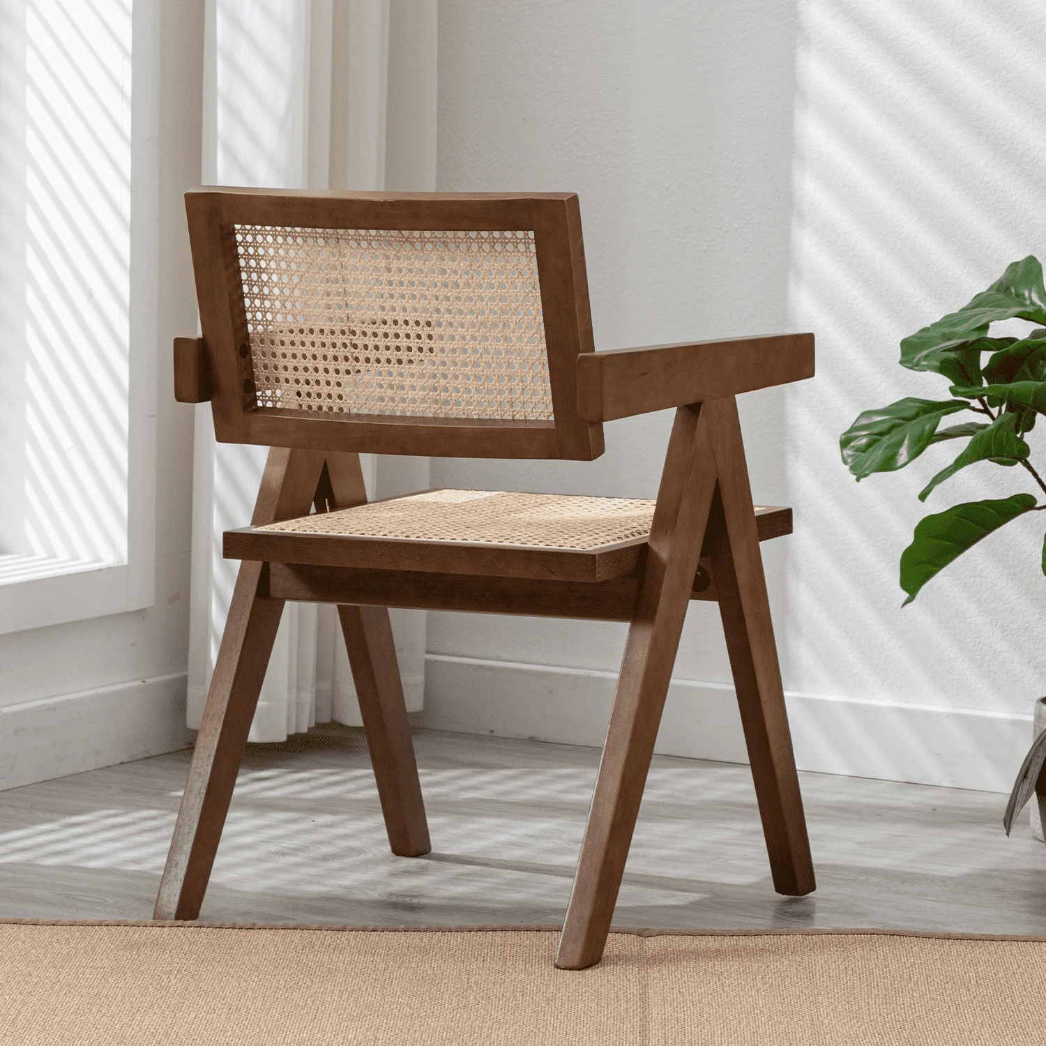 Cane Back Dining Chairs Set of 2 - 1844DC - Image 16