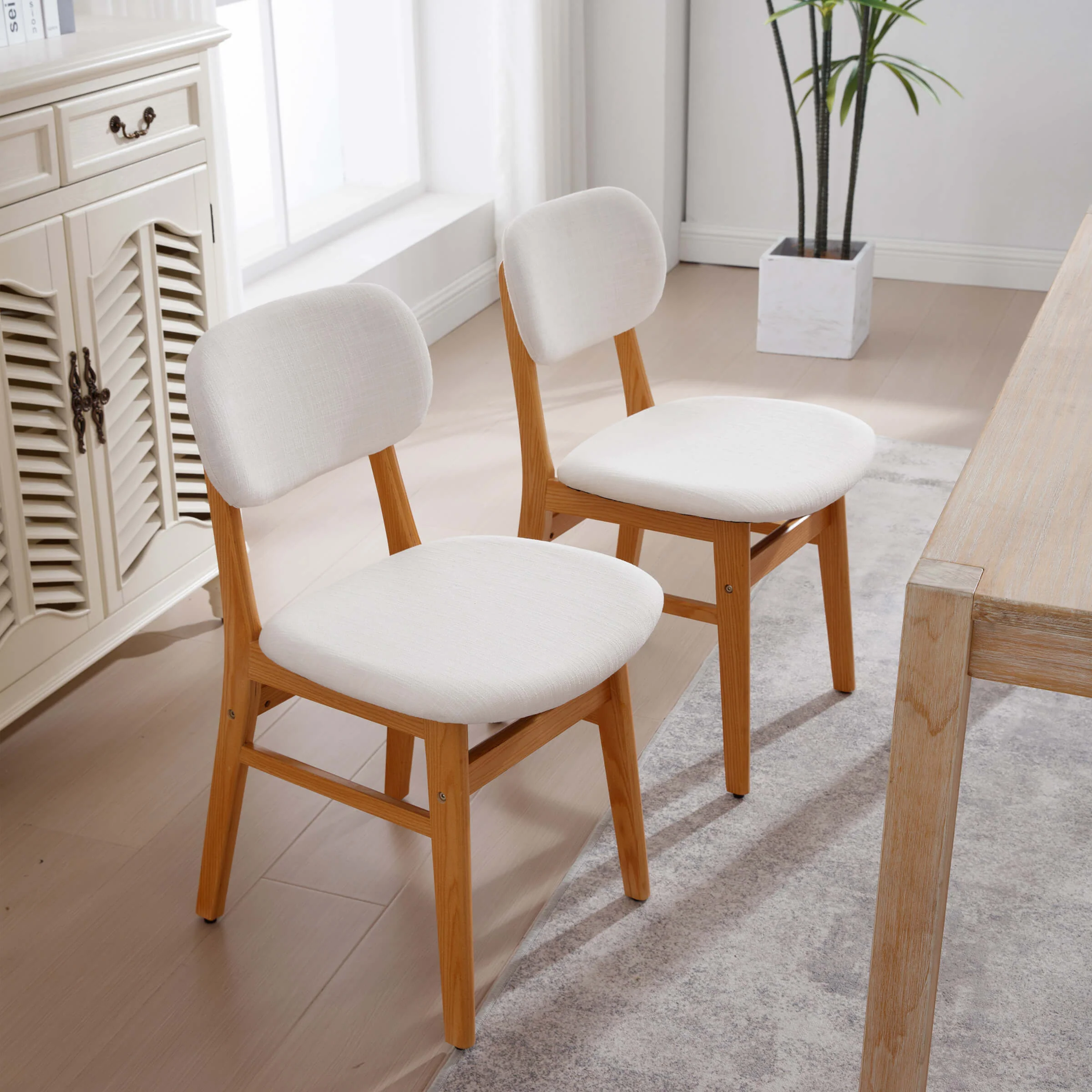 Nordic Style Dining Chairs Set of 2 - 9009DC - Image 3